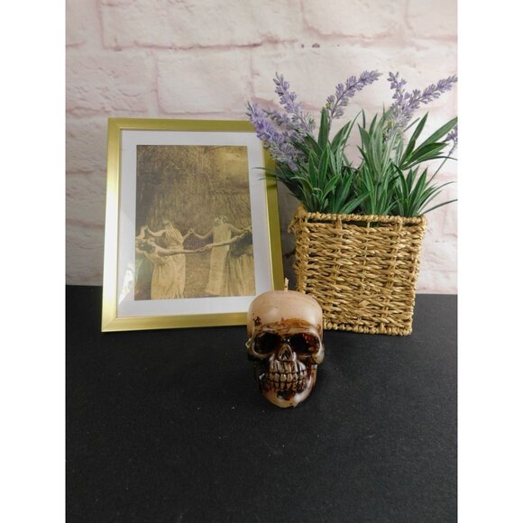 Unscented Skull Candle Home Decor 3" - Goth, Witchy, Creepy, Halloween - Picture 10 of 11